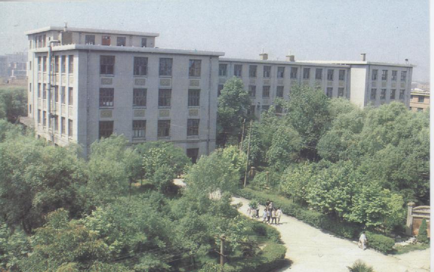 8bdc8ff5bcdf47559df87ea8bd9d5a72.jpg